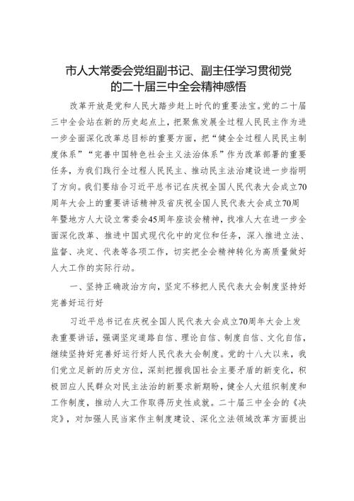 市人大常委会党组副书记、副主任学习贯彻党的二十届三中全会精神感悟.docx