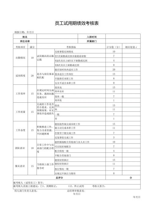 员工试用期绩效考核表.docx