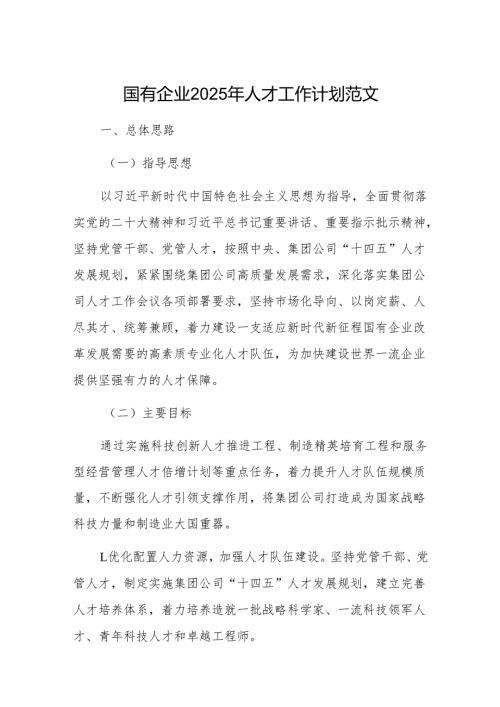 国有企业2025年人才工作计划范文.docx