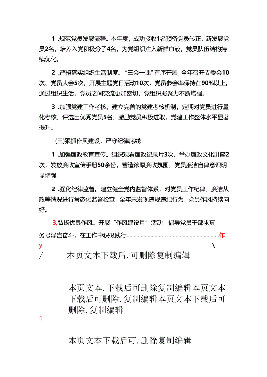 2024年党支部党建工作总结（精选）.docx_第2页