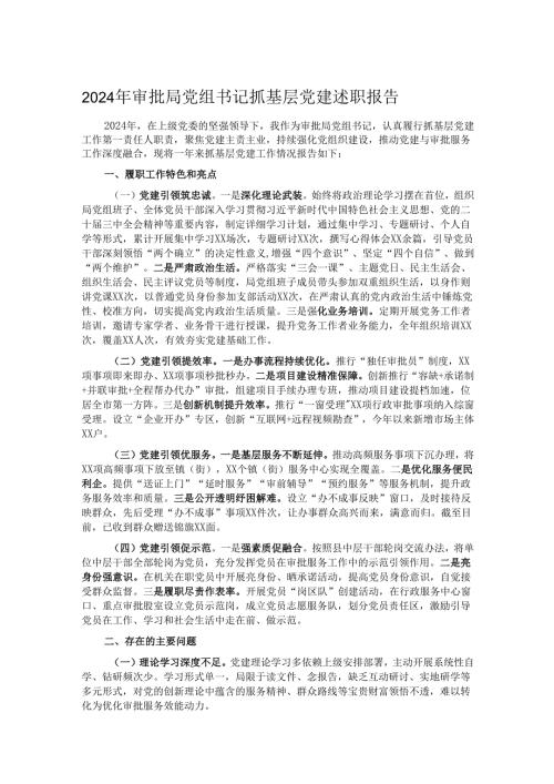 2024年审批局党组书记抓基层党建述职报告.docx