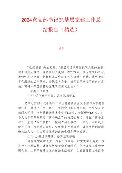 2024党支部书记抓基层党建工作总结报告（精选）.docx