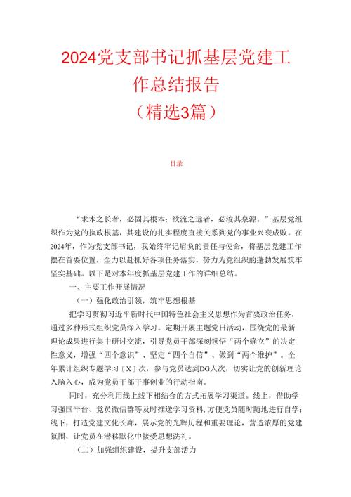 2024党支部书记抓基层党建工作总结报告（精选3篇）.docx
