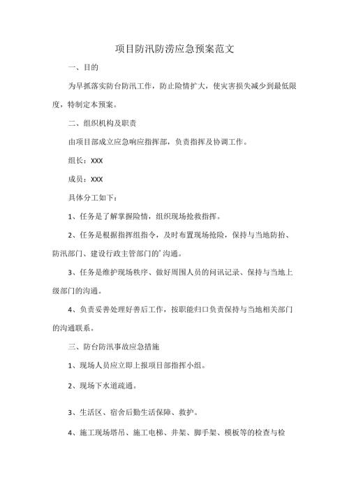 项目防汛防涝应急预案范文.docx