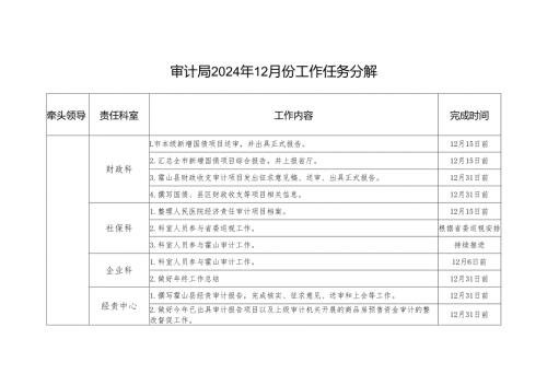 审计局2024年12月份工作任务分解.docx