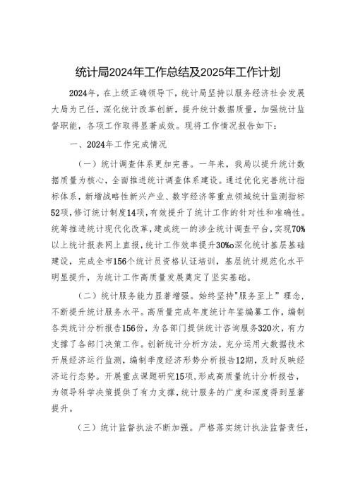 统计局2024年工作总结及2025年工作计划.docx