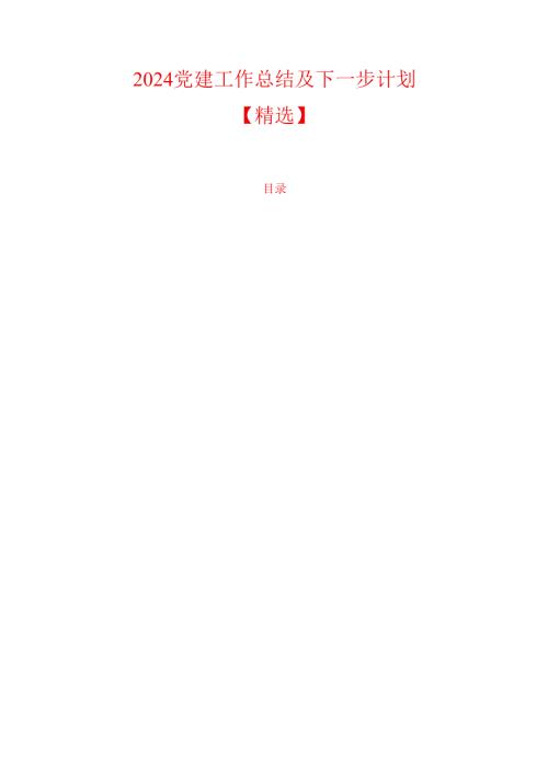 2024党建工作总结及下一步计划.docx
