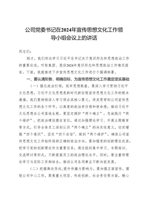 公司党委副书记在2024年宣传思想文化工作领导小组会议上的讲话.docx