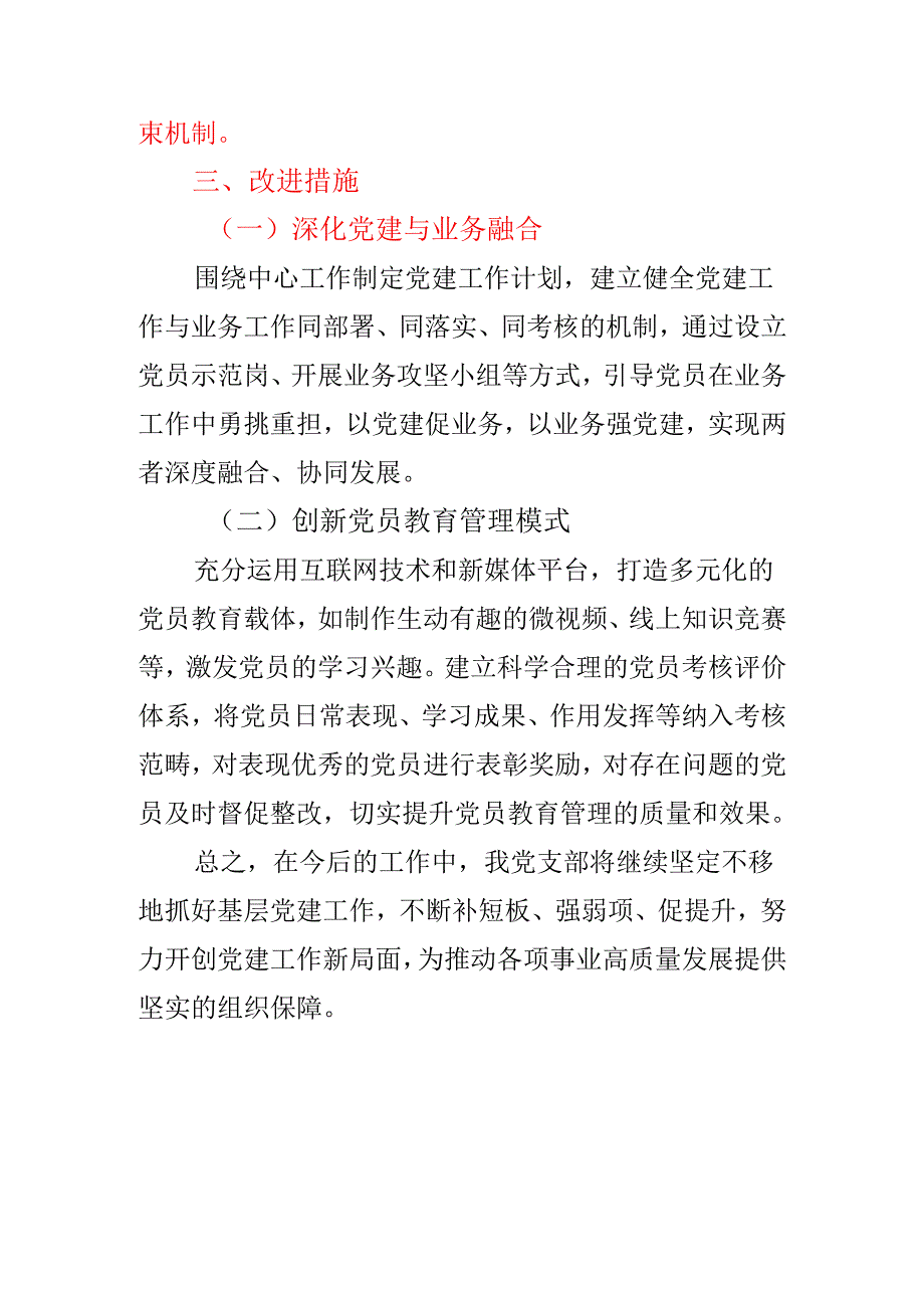 2024党支部抓基层党建述职报告【最新版】.docx_第3页