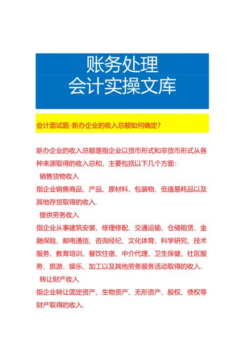 会计面试题-新办企业的收入总额如何确定.docx