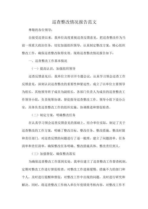 巡查整改情况报告范文.docx