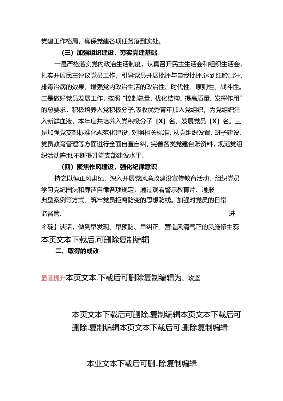 2024党支部书记抓基层党建工作总结报告【完整版】.docx_第2页