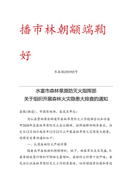 水森指（2019）5号（隐患排查）.docx