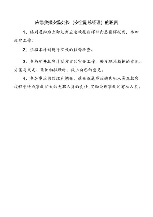 应急救援安监处长（安全副总经理）的职责.docx