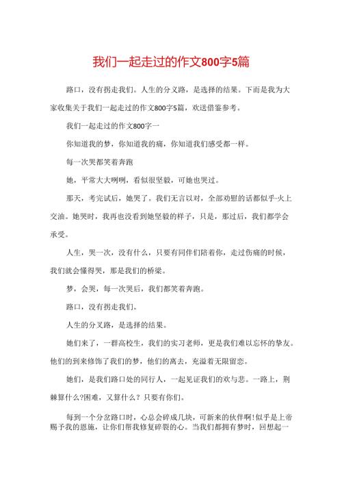 我们一起走过的作文800字5篇.docx