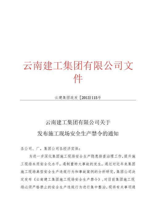 集团安全生产禁令（16项禁令）.docx