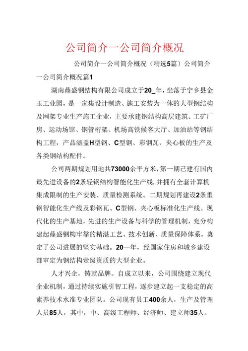 公司简介_公司简介概况.docx