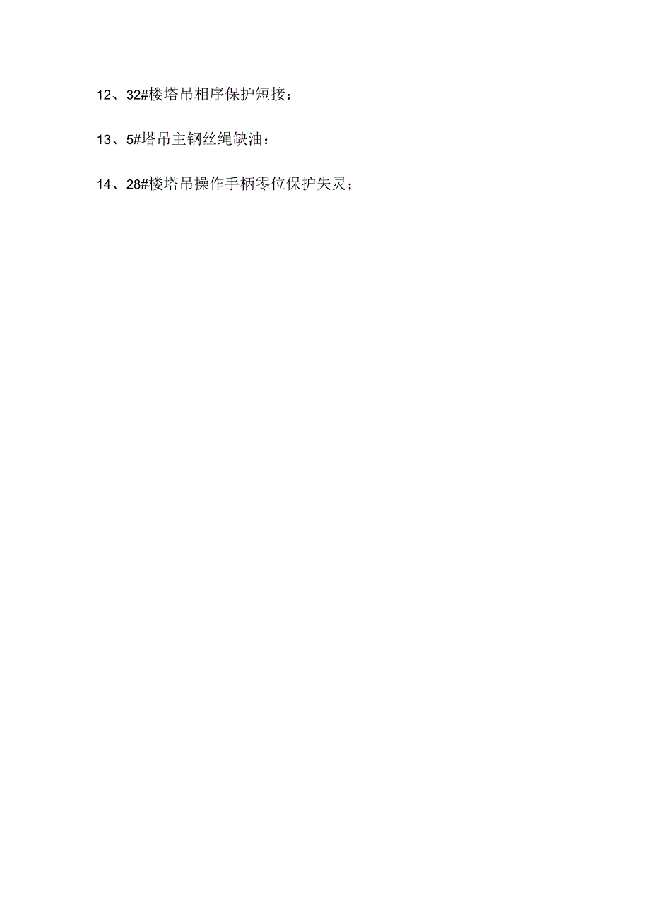 塔吊专项检查 .docx_第2页