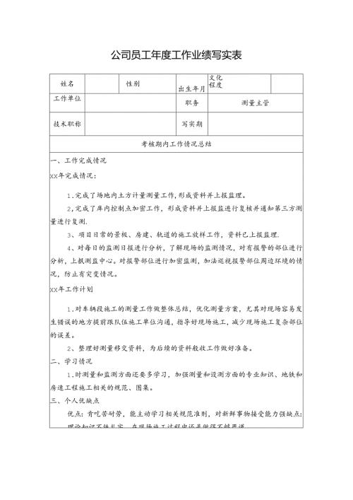 公司员工年度工作业绩写实表.docx
