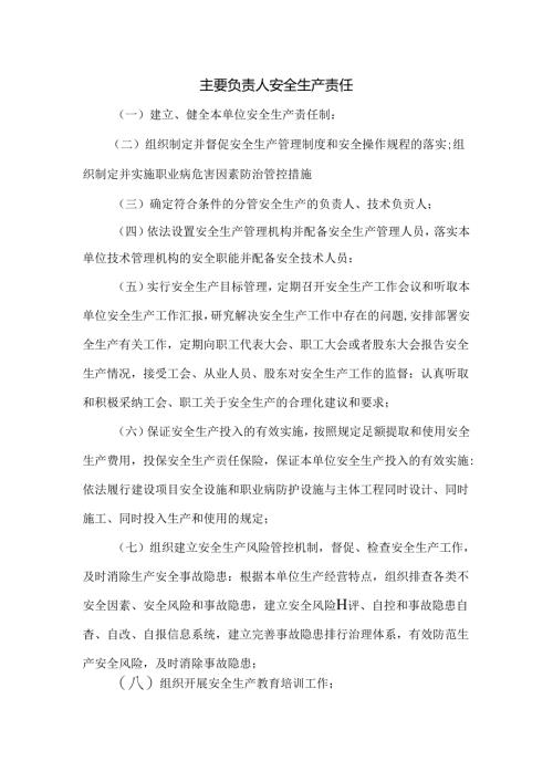 主要负责人安全生产责任.docx