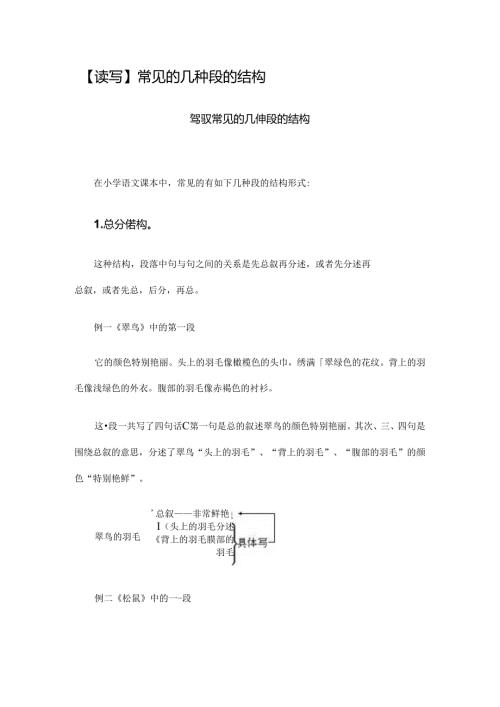 常见的几种段的结构.docx