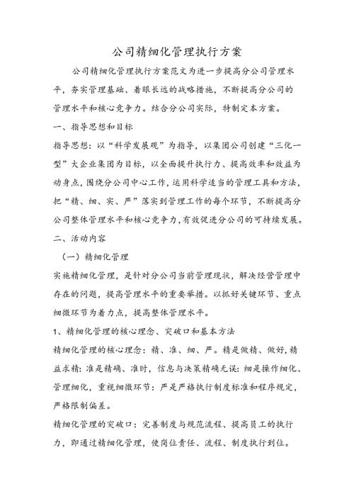 公司精细化管理执行方案.docx