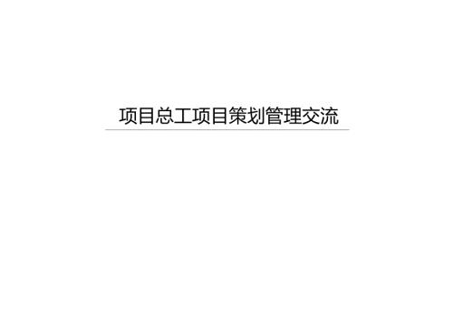 中建项目总工项目策划管理交流.docx