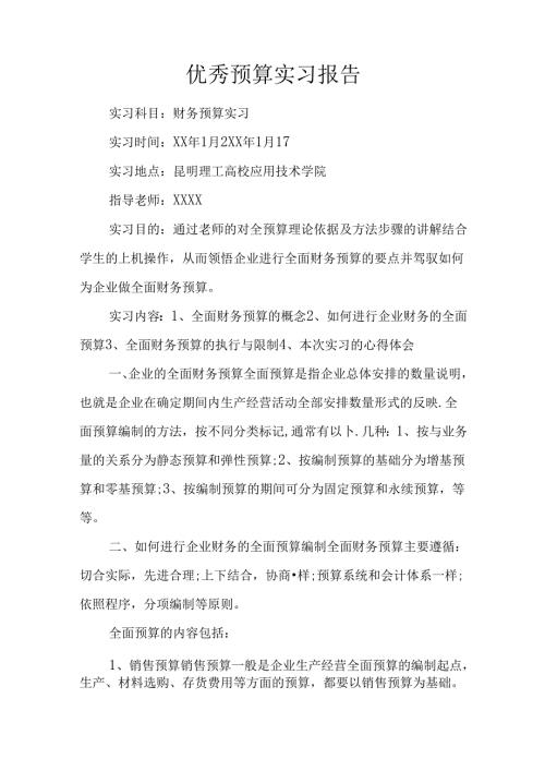 优秀预算实习报告.docx