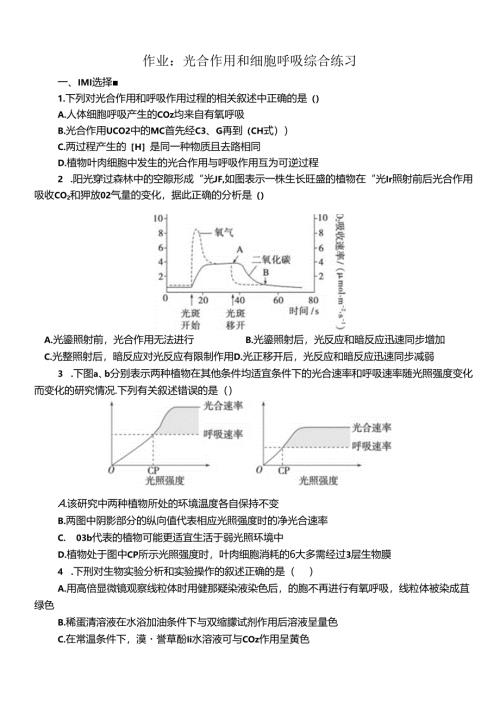 4周3光合作用和细胞呼吸的综合.docx