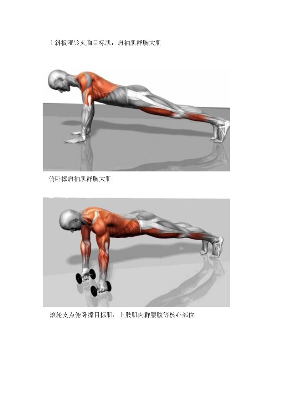 全身肌肉锻炼大全详细到每个细节.docx_第3页