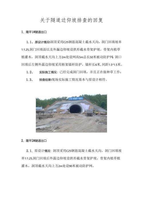 CGJL-11标-隧道边仰坡排查.docx