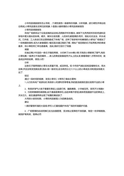 小草死因调查报告.docx