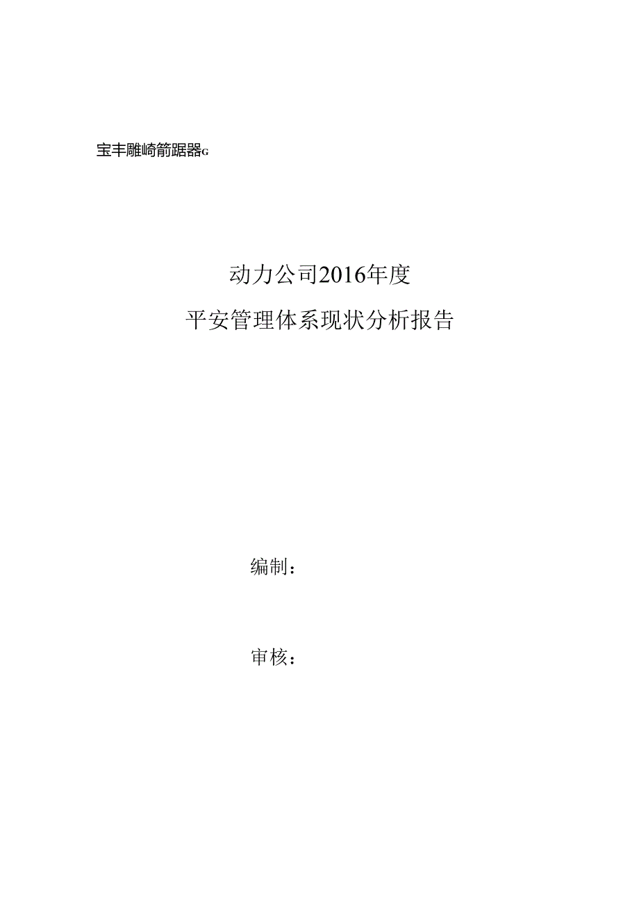 动力公司安全管理体系现状分析报告(终版).docx_第1页