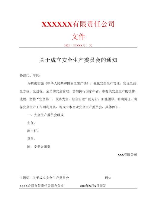 关于成立安全生产委员会的决定.docx