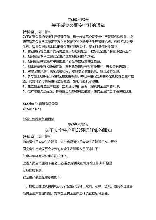 公司安全管理任命书.docx