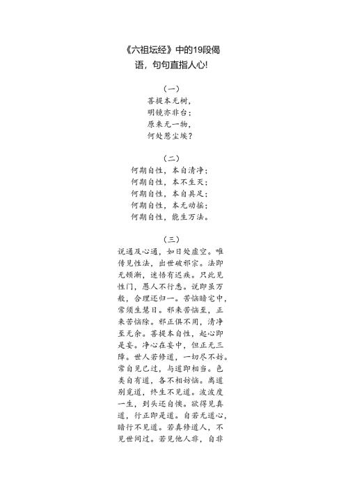 六祖坛经中的19段偈语.docx