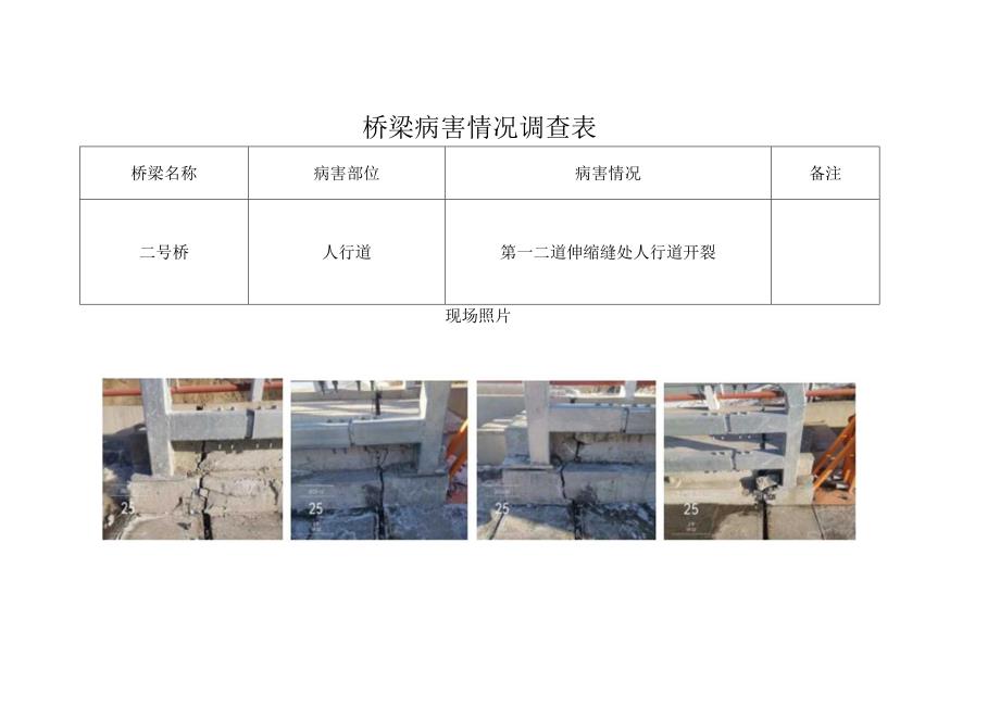 桥梁病害情况调查表.docx_第1页