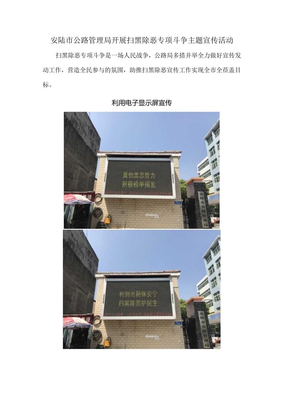 安陆市公路管理局开展扫黑除恶专项斗争主题宣传活动.docx_第1页
