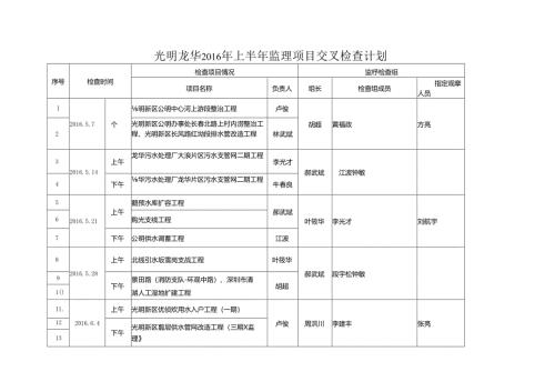光明龙华2016年上半年检查计划.docx
