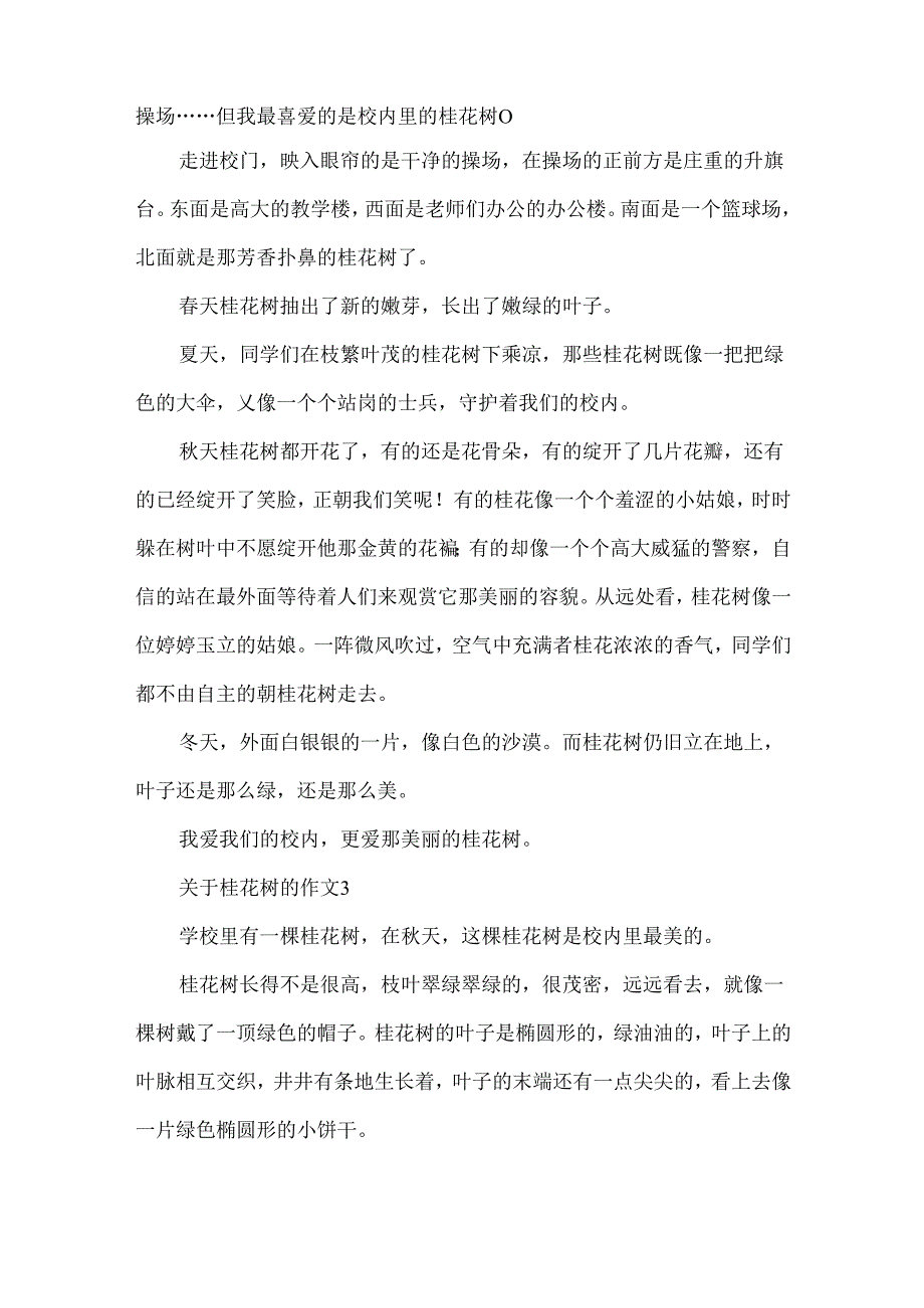 关于桂花树的作文.docx_第2页