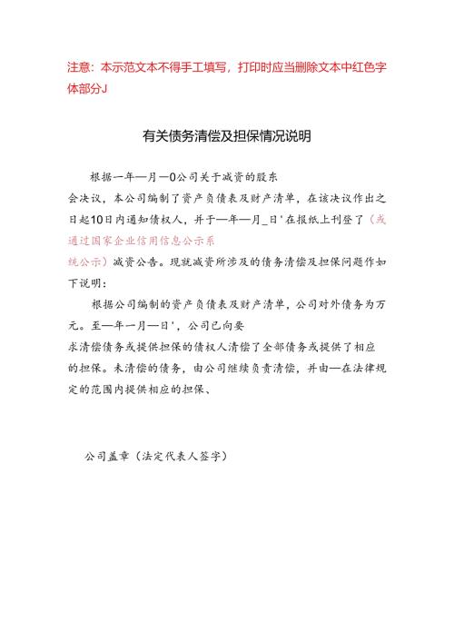 债务担保说明.docx