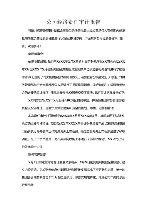 公司经济责任审计报告.docx