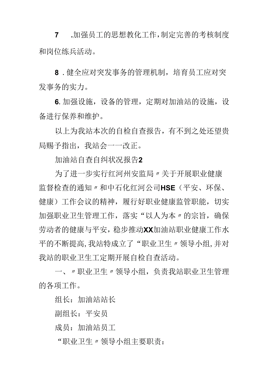 加油站自查自纠情况报告.docx_第3页
