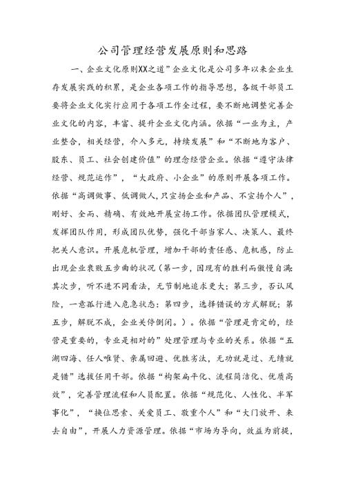 公司管理经营发展原则和思路.docx