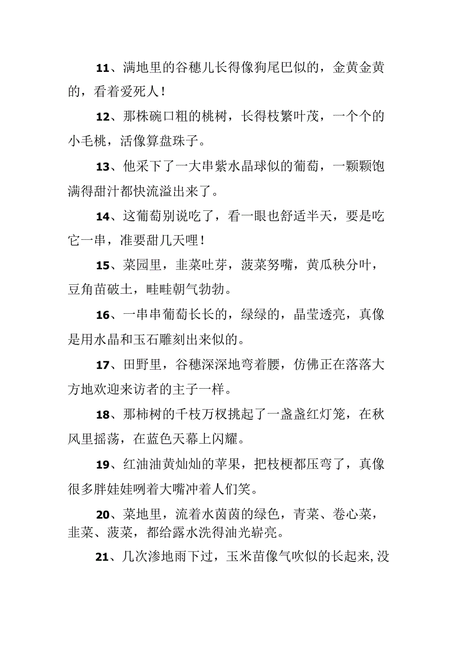 关于植物的比喻句30则.docx_第2页