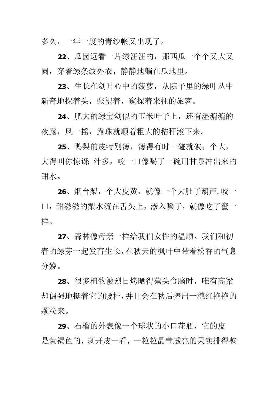 关于植物的比喻句30则.docx_第3页
