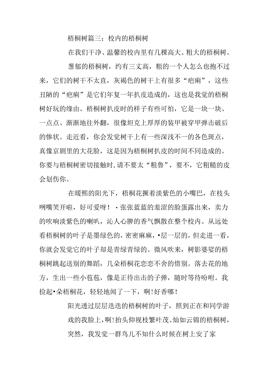 关于校园的梧桐树5篇.docx_第3页