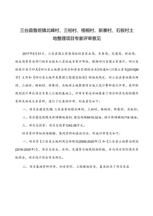 三台县鲁班镇专家评审意见.docx