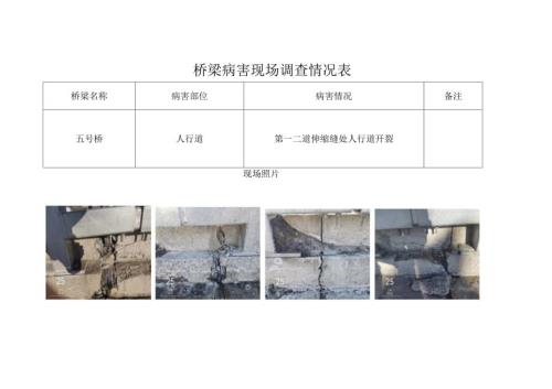 桥梁病害现场调查情况表.docx
