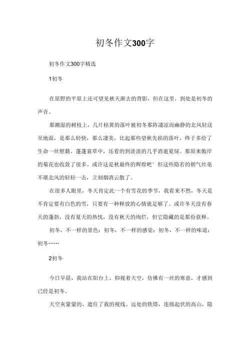 初冬作文300字.docx